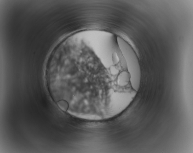 X0000088471091200706191343