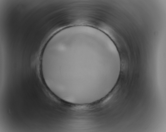 X0000088471094200706191343