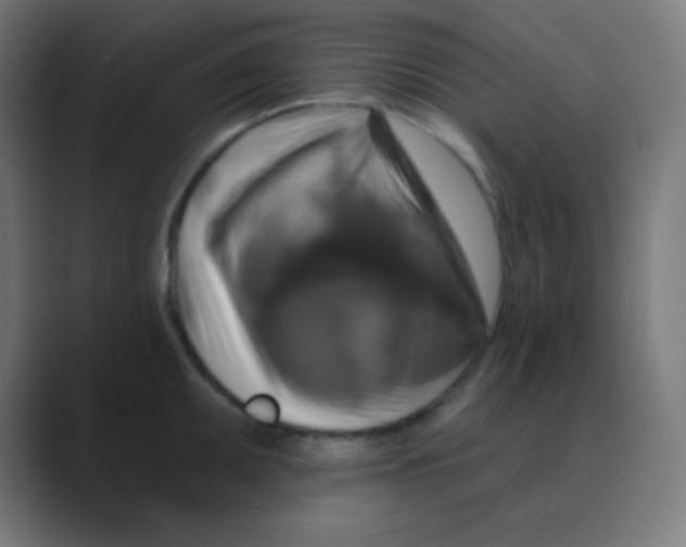 X0000088471095200706191343