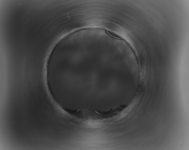 X0000088471096200706191343