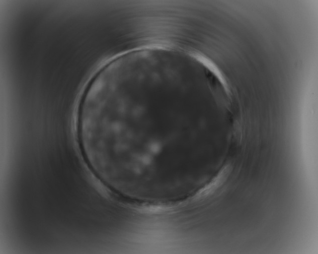 X0000088471099200706191343