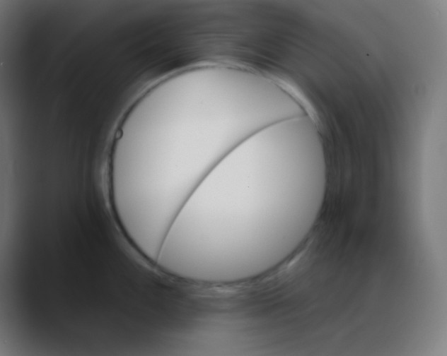 X0000088471100200706191343