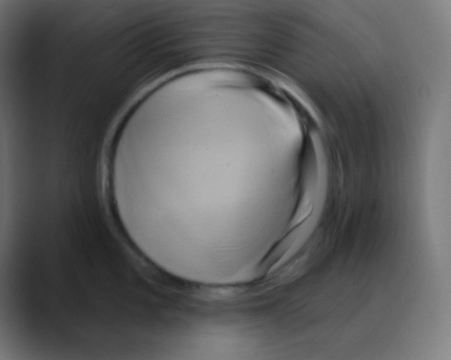 X0000088471101200706191343