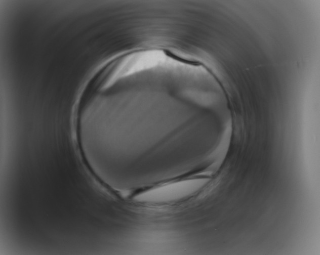 X0000088471102200706191343