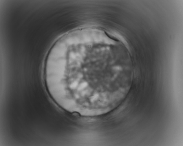 X0000088471103200706191343