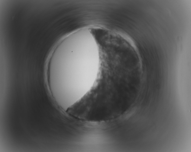 X0000088471104200706191343