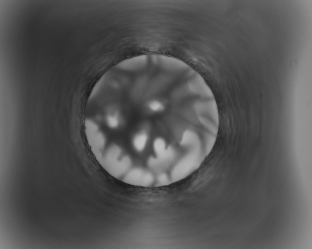 X0000088471105200706191342