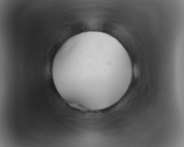 X0000088471107200706191342