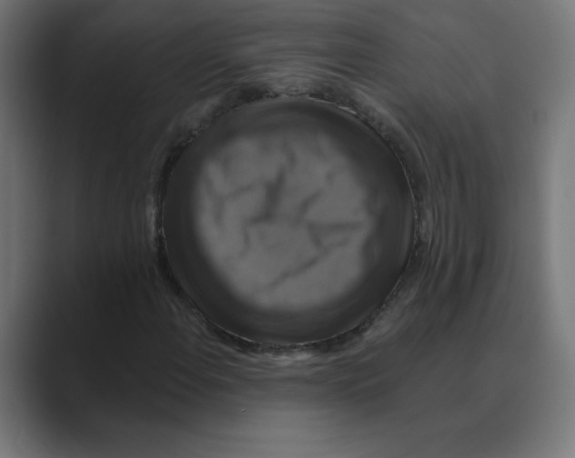 X0000088471108200706191342