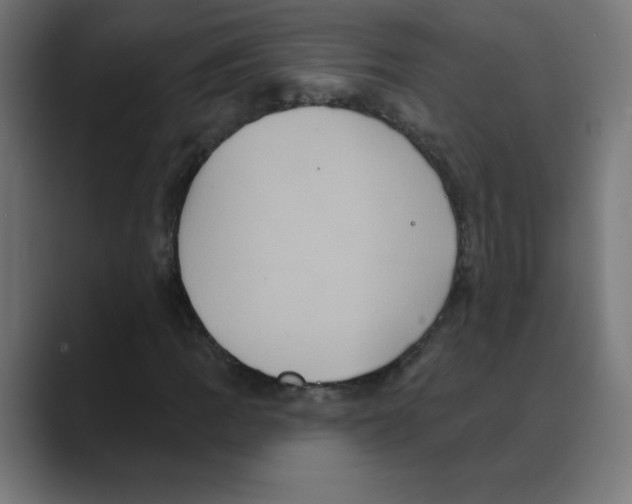 X0000088471109200706191342