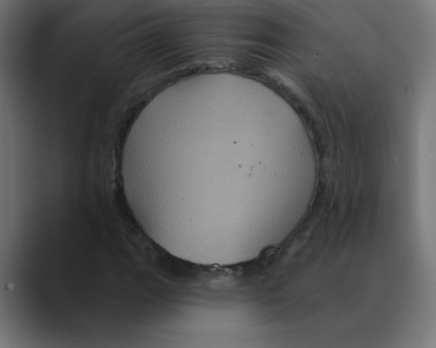 X0000088471111200706191343