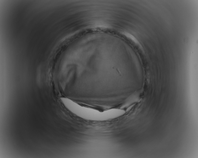 X0000088471112200706191343