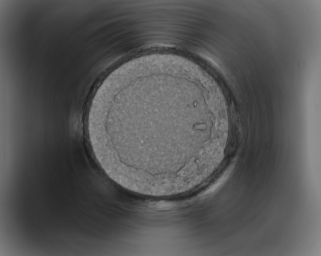 X0000088471113200706191343