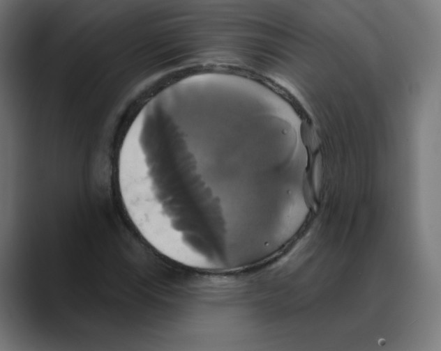 X0000088471115200706191343