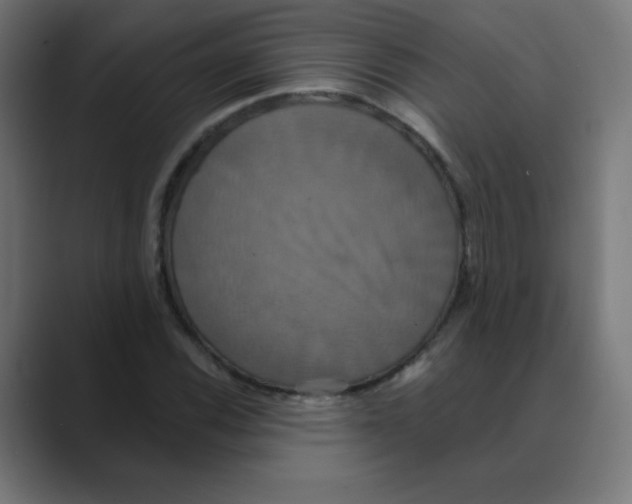 X0000088471116200706191343