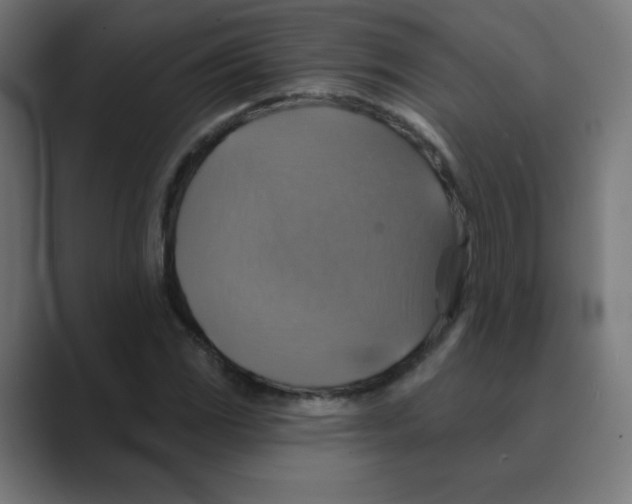 X0000088471117200706191343