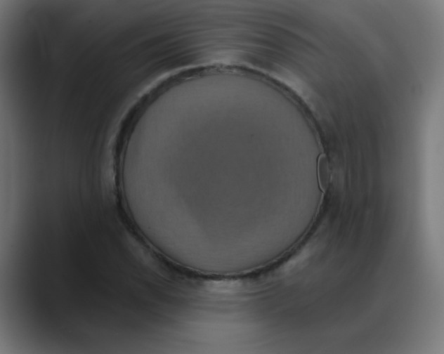 X0000088471118200706191343