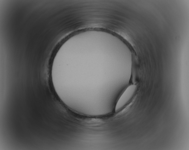 X0000088471119200706191343