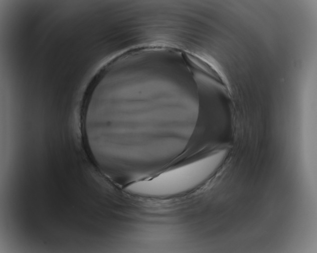 X0000088471120200706191343