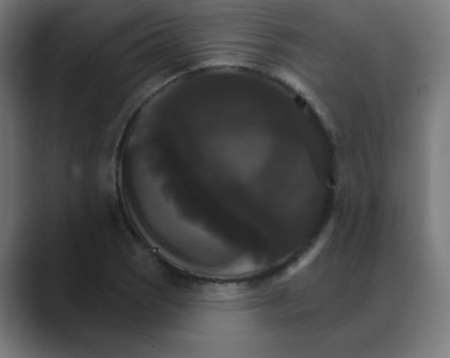 X0000088471121200706191343