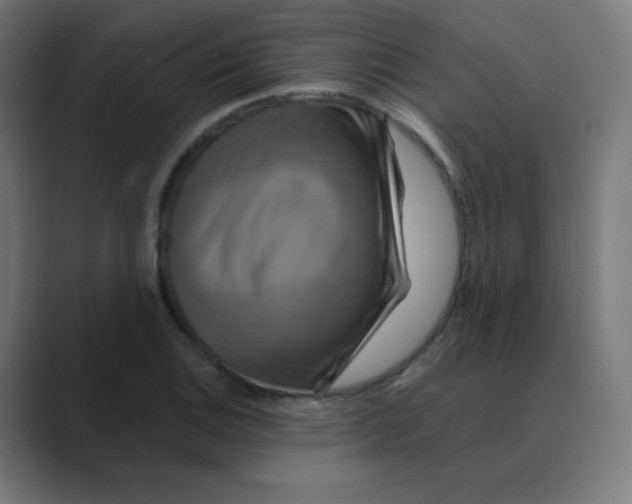 X0000088471124200706191343