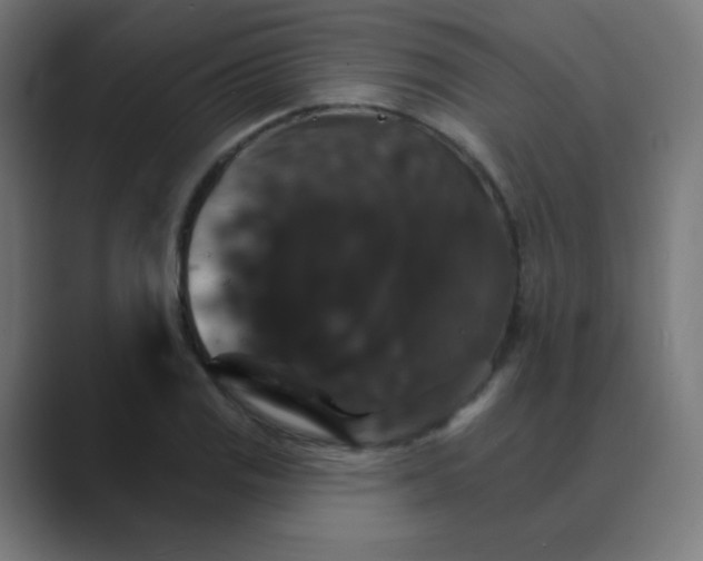 X0000088471125200706191343