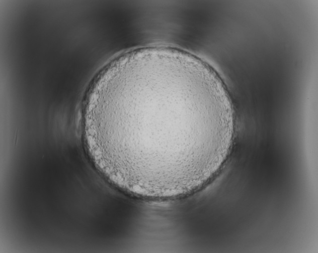 X0000088471126200706191343