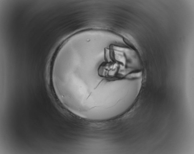 X0000088471128200706191343