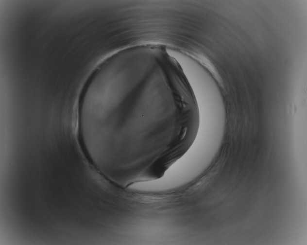 X0000088471132200706191343