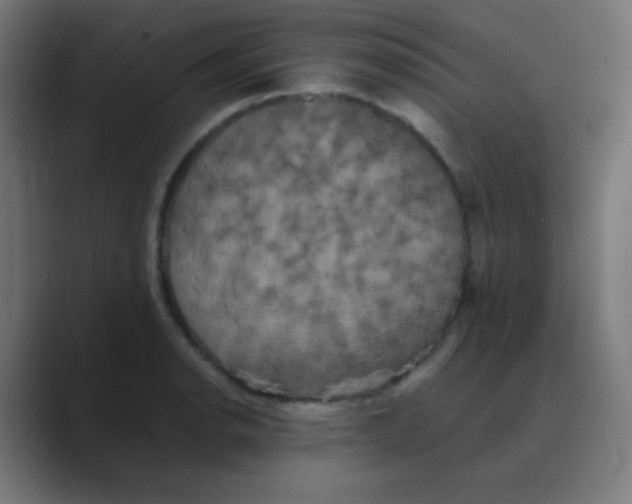 X0000088471134200706191343