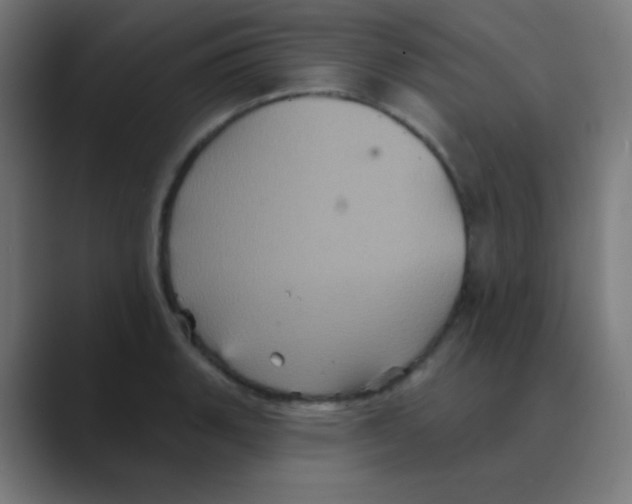 X0000088471135200706191343