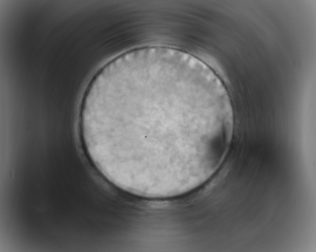 X0000088471136200706191343