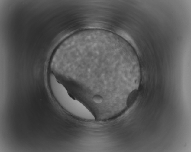 X0000088471138200706191343