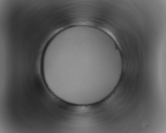 X0000088471139200706191343