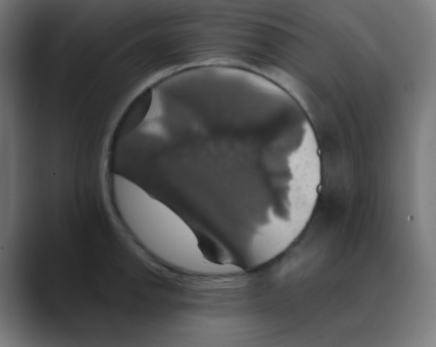 X0000088471142200706191343