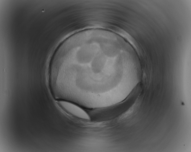 X0000088471143200706191343