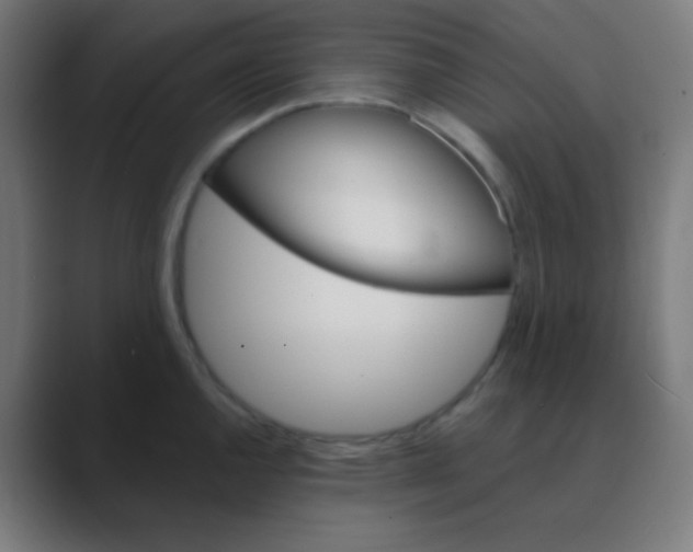 X0000088471144200706191343