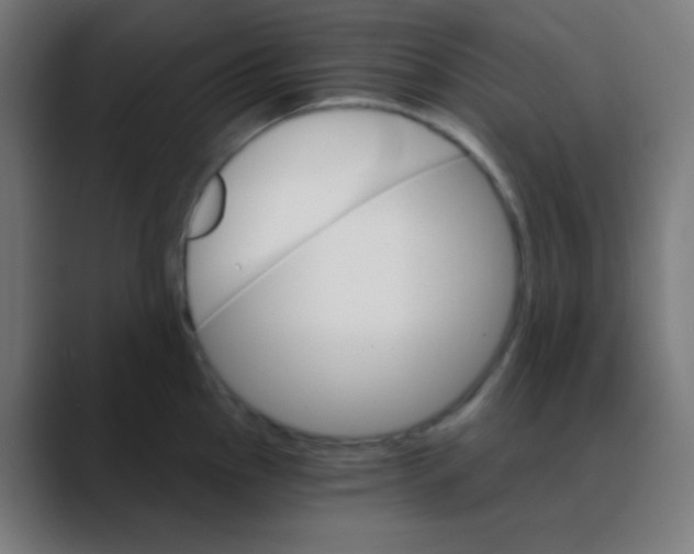 X0000088471145200706191343