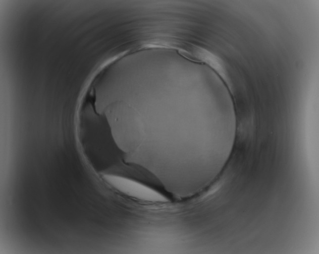 X0000088471146200706191343