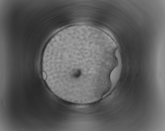 X0000088471147200706191343