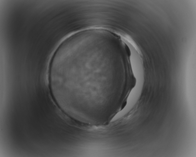 X0000088471148200706191343