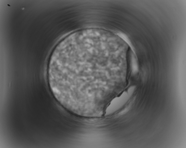 X0000088471149200706191343