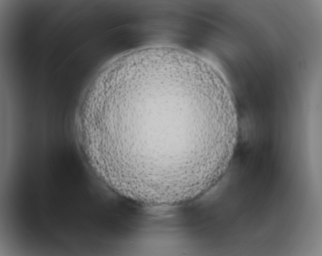 X0000088471150200706191343