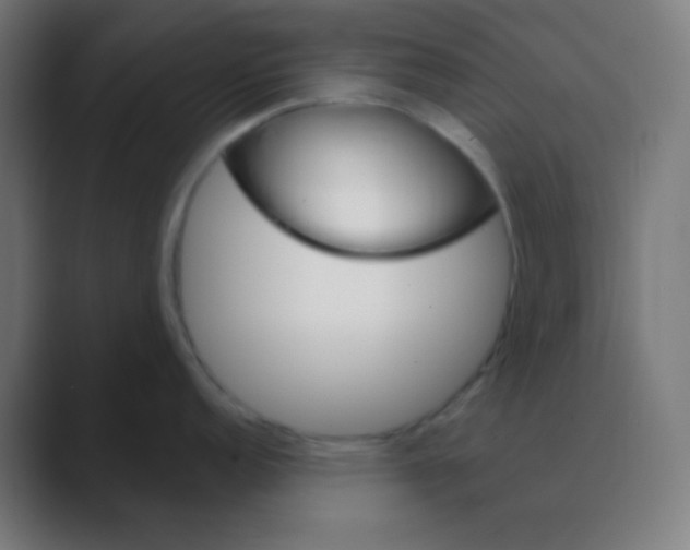 X0000088471152200706191343