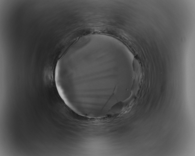 X0000088471155200706191342