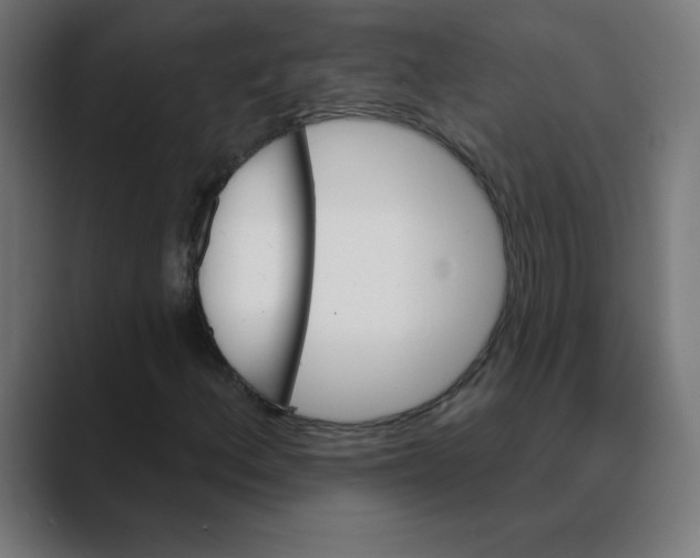 X0000088471156200706191342