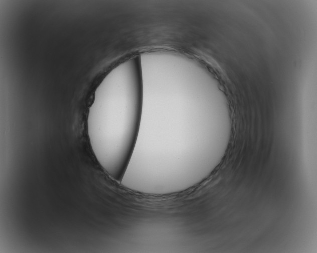 X0000088471160200706191342