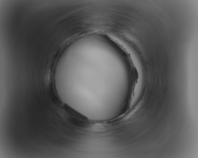 X0000088471161200706191342