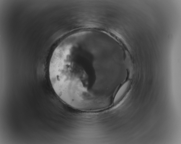 X0000088471163200706191342