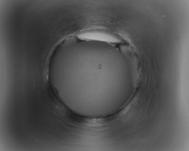 X0000088471165200706191342